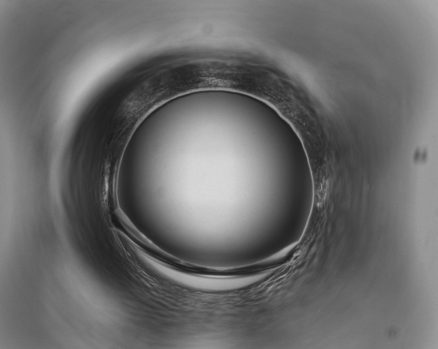 X0000094320052200711091351