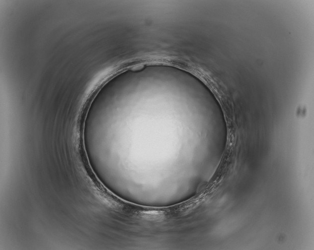 X0000094320053200711091351