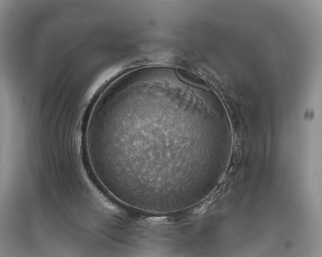 X0000094320054200711091351