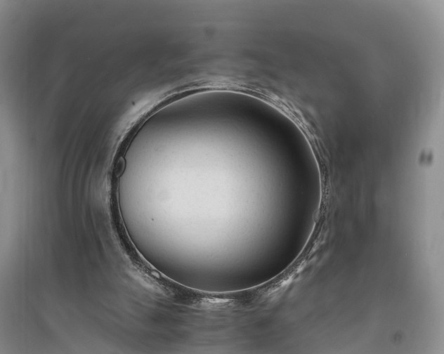 X0000094320055200711091351