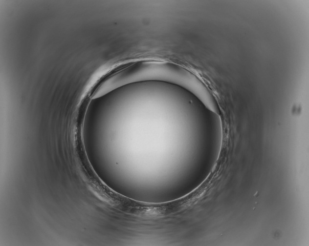 X0000094320056200711091351