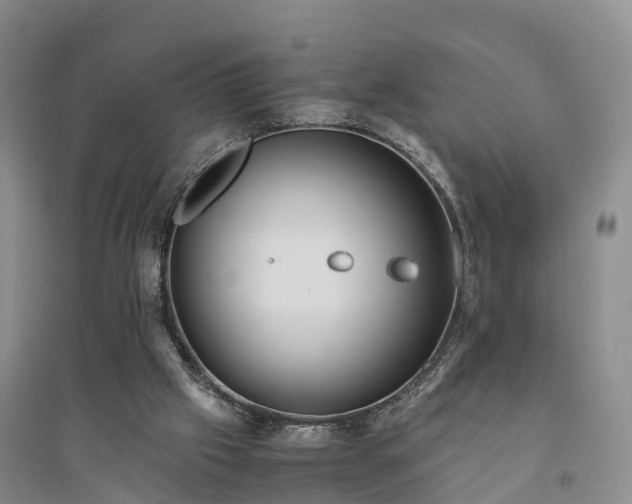X0000094320057200711091351
