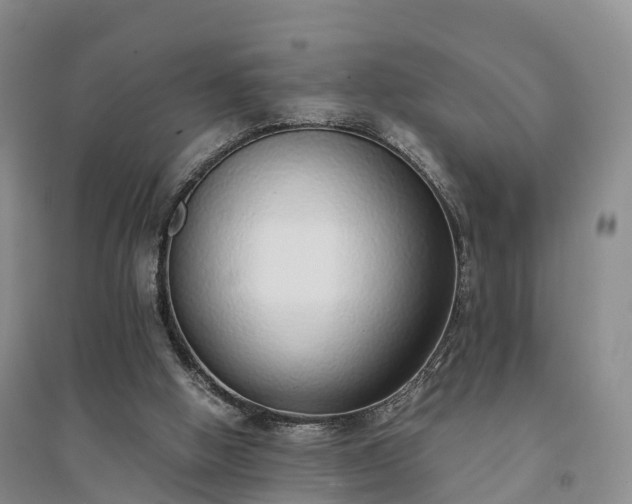 X0000094320058200711091351