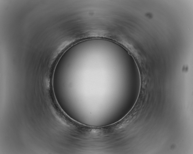 X0000094320060200711091351