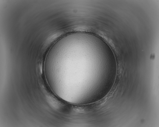X0000094320062200711091351