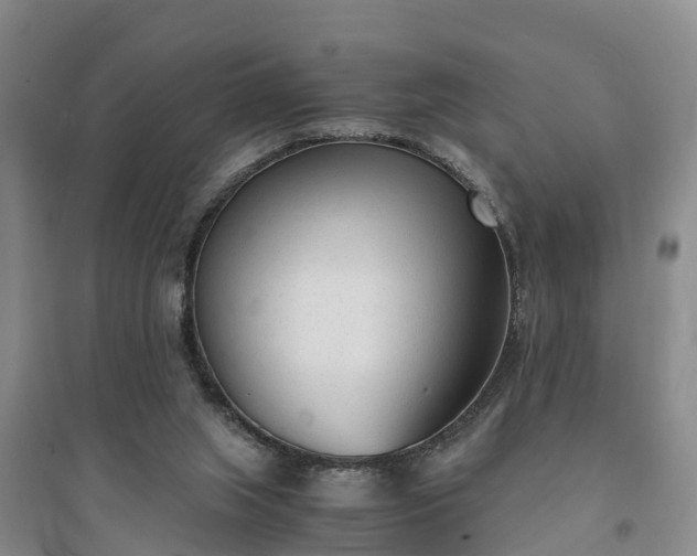 X0000094320063200711091351