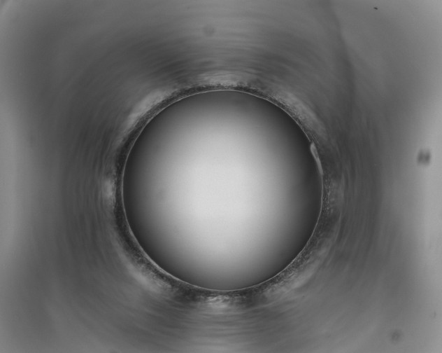 X0000094320064200711091351