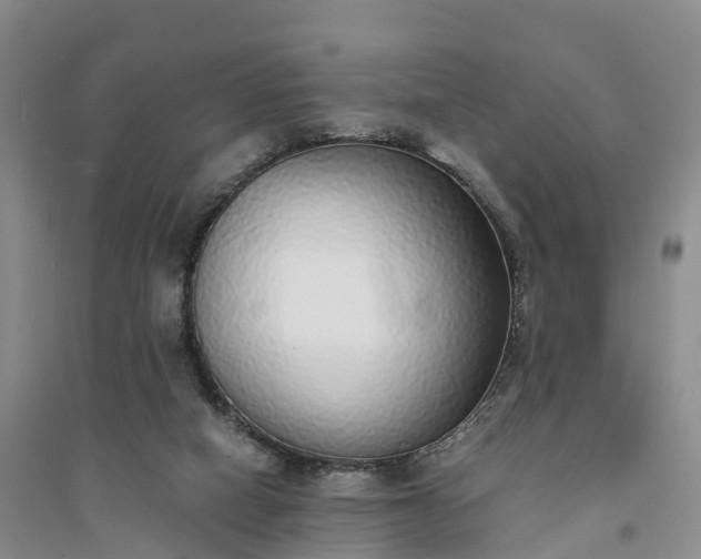 X0000094320066200711091351