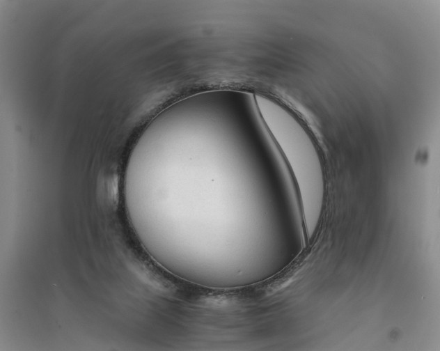 X0000094320067200711091351