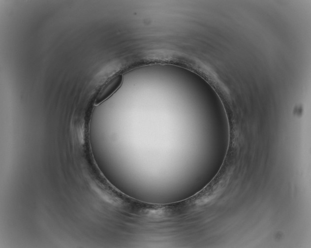 X0000094320068200711091351