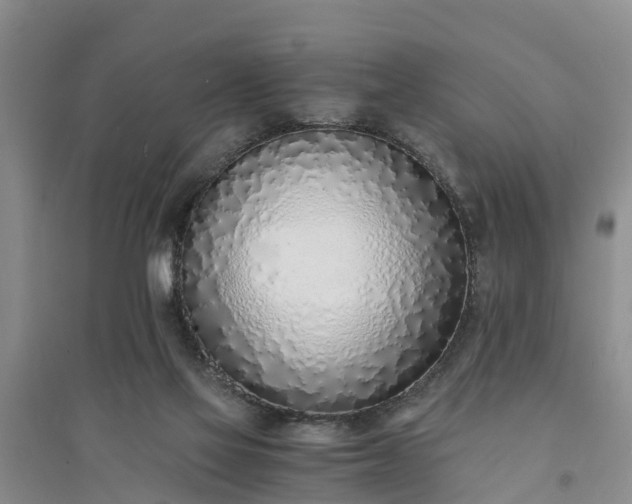 X0000094320069200711091351