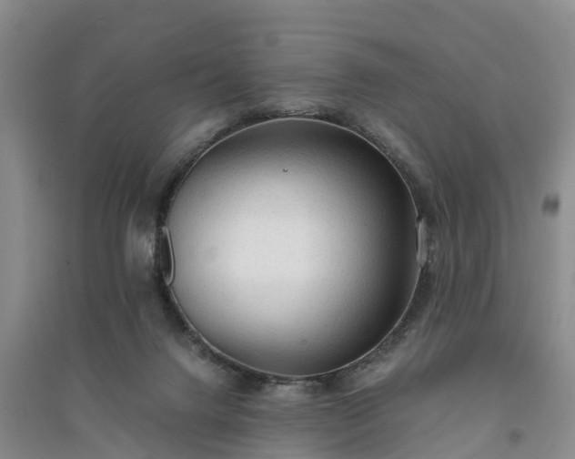 X0000094320072200711091351