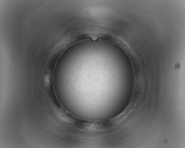X0000094320074200711091351