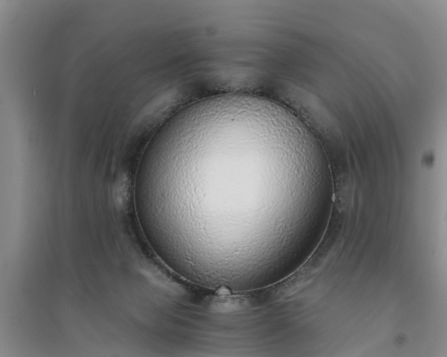 X0000094320077200711091351