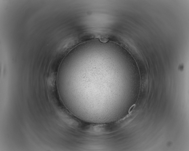 X0000094320078200711091351
