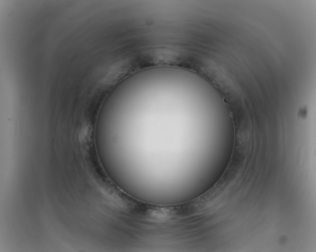 X0000094320079200711091351