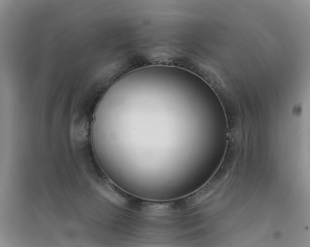 X0000094320081200711091351