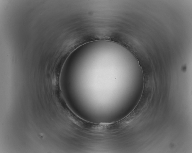 X0000094320084200711091351