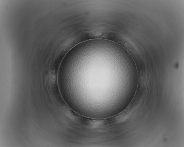 X0000094320085200711091351