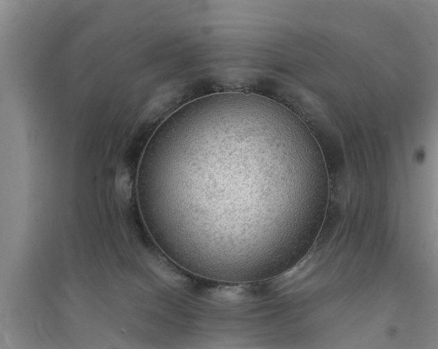 X0000094320086200711091351