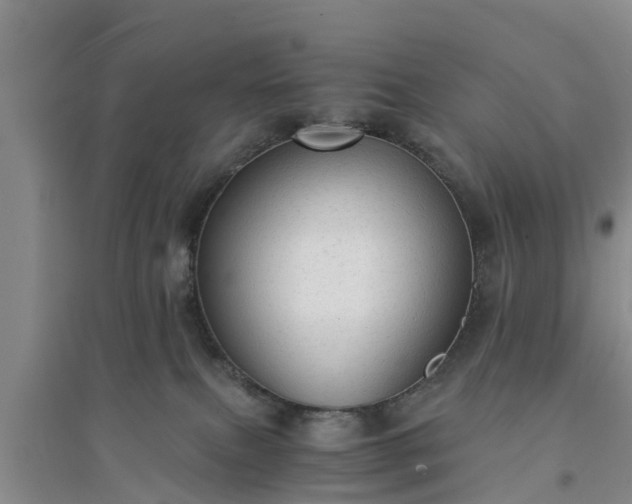 X0000094320087200711091351
