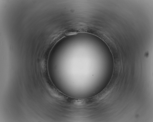 X0000094320088200711091351