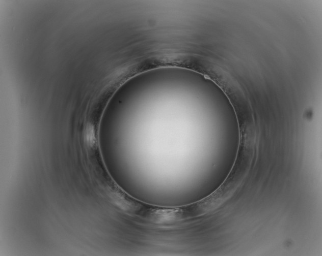 X0000094320089200711091352