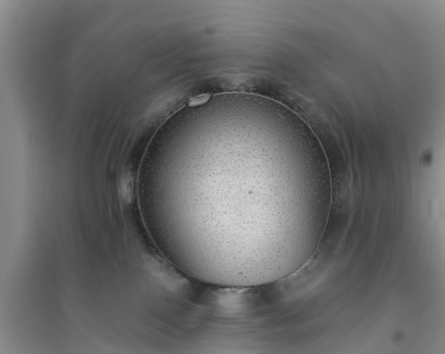 X0000094320090200711091352