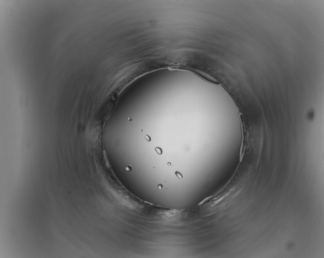 X0000094320092200711091352