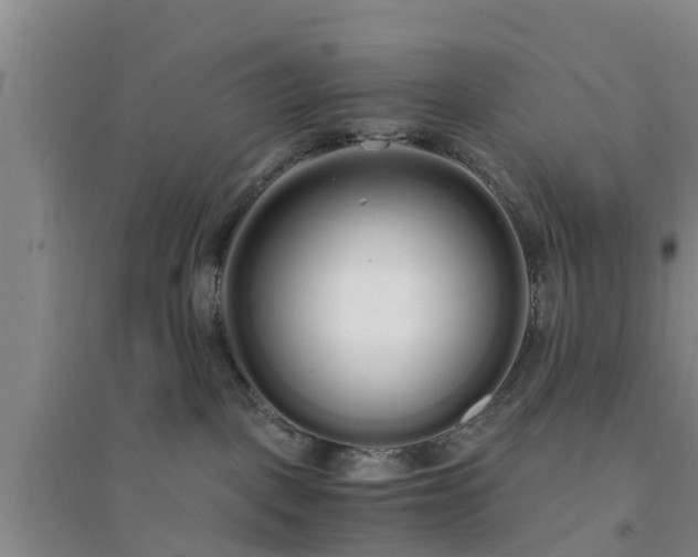X0000094320093200711091352