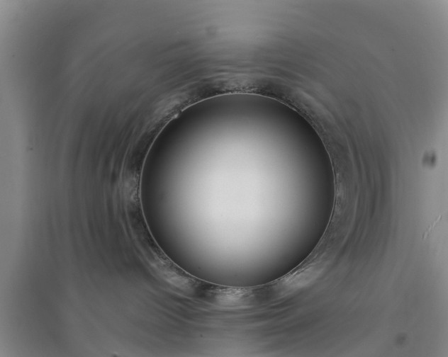 X0000094320096200711091352