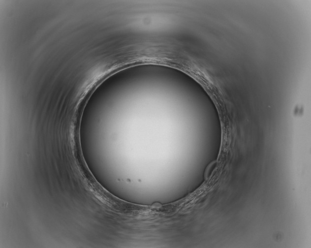 X0000094320098200711091351