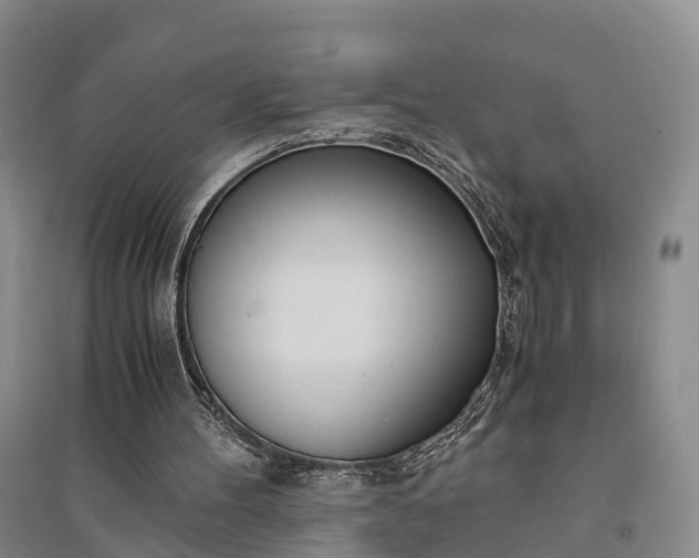 X0000094320100200711091351