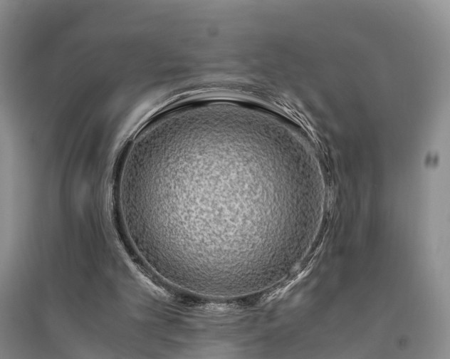 X0000094320101200711091351