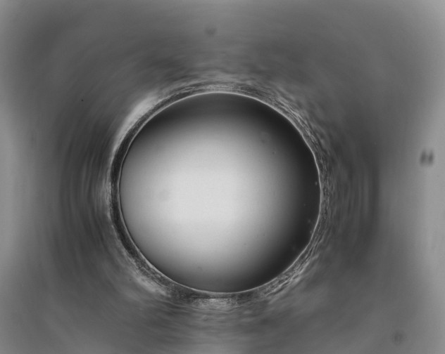 X0000094320102200711091351