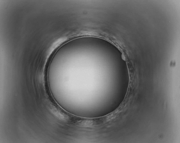X0000094320104200711091351