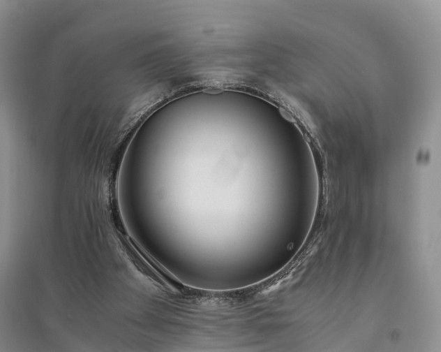 X0000094320105200711091351