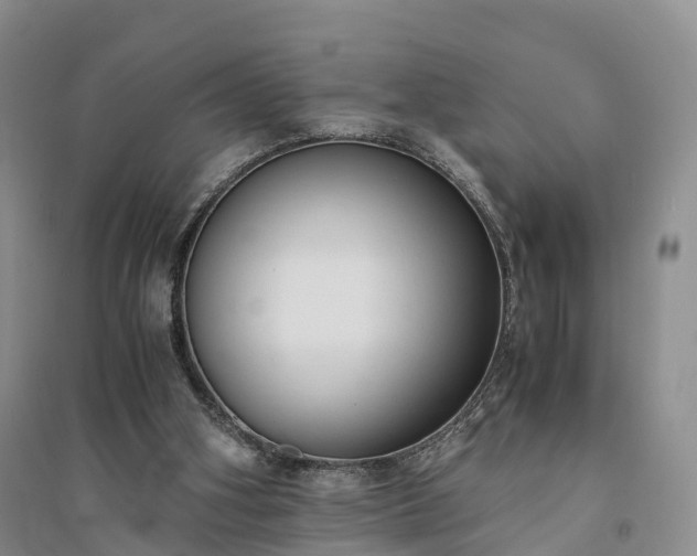 X0000094320106200711091351