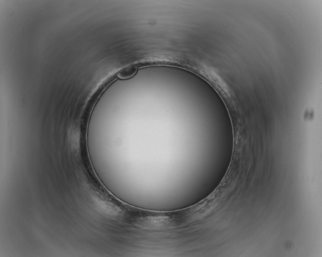 X0000094320108200711091351