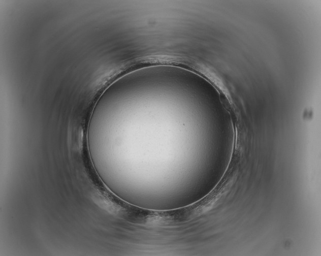 X0000094320109200711091351