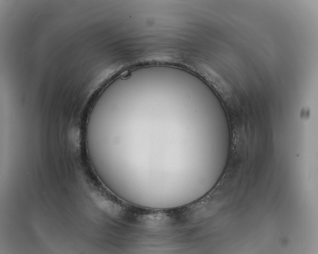 X0000094320112200711091351