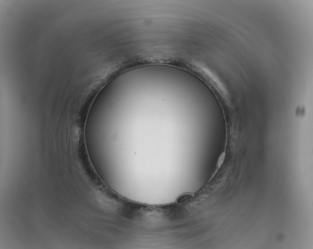 X0000094320113200711091351
