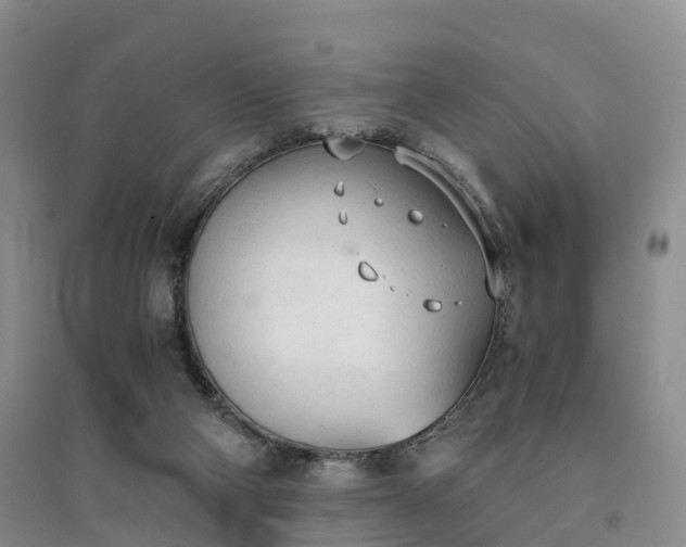 X0000094320114200711091351