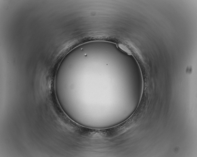 X0000094320115200711091351