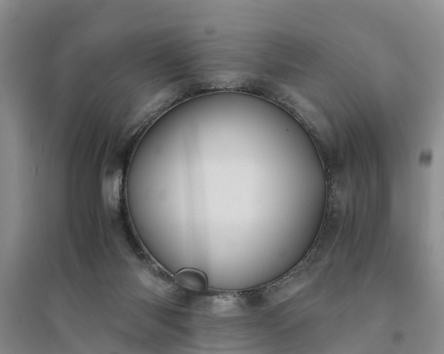 X0000094320118200711091351