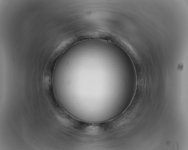 X0000094320119200711091351