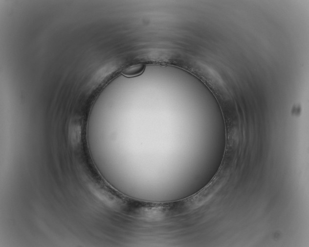 X0000094320120200711091351