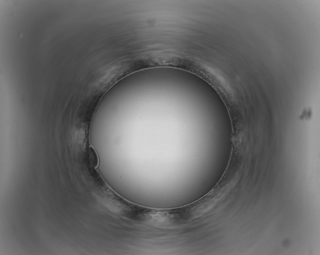 X0000094320121200711091351