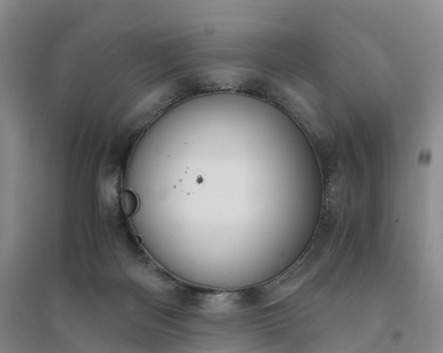 X0000094320122200711091351