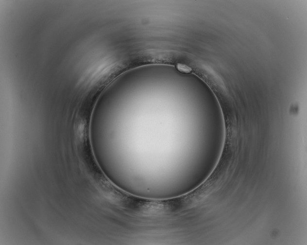 X0000094320123200711091351